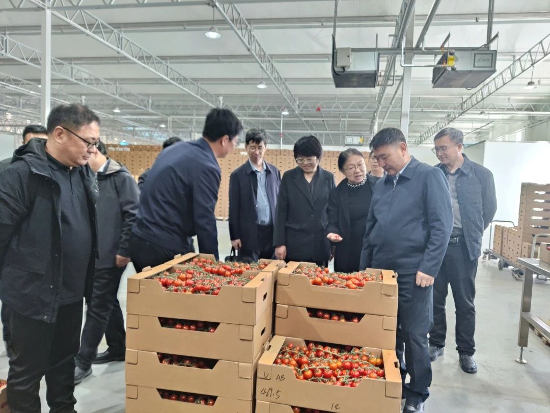 微信图片_20250421100810.jpg